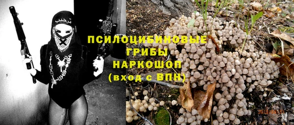 прущие грибы Дмитриев