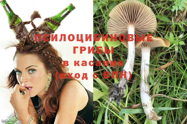 МДМА Дмитровск