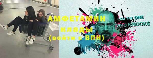 прущие грибы Дмитриев