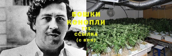 мяу мяу мука Дмитров