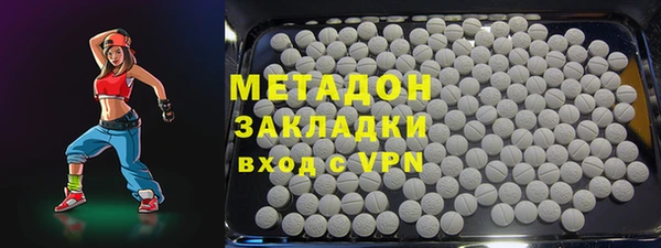 прущие грибы Дмитриев