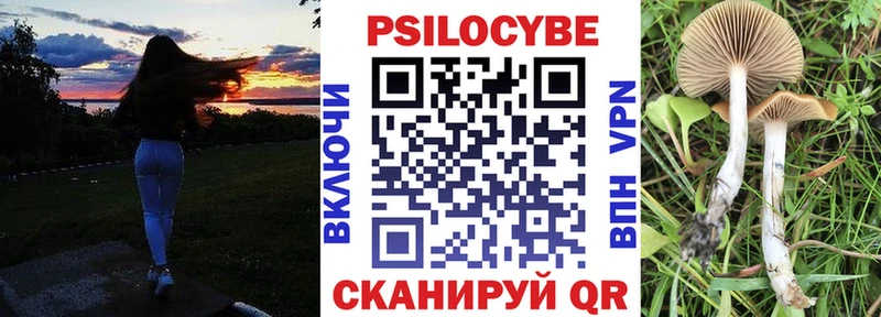 Галлюциногенные грибы Psilocybine cubensis  Купить  Красноперекопск 